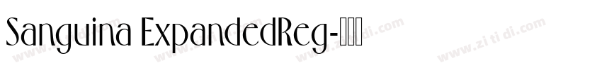 Sanguina ExpandedReg字体转换